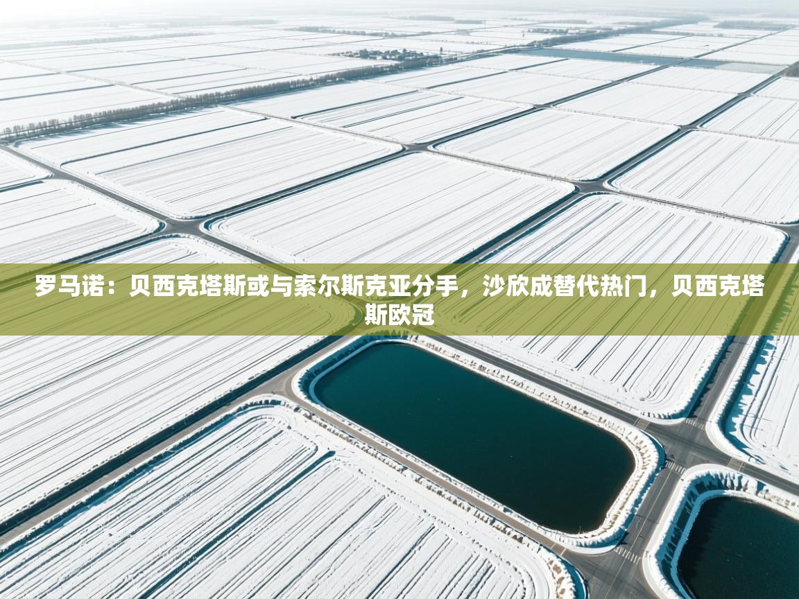 开云体育版本更新日志2025-罗马诺:贝西克塔斯或与索尔斯克亚分手,沙欣成替代热门,贝西克塔斯欧冠 第2张