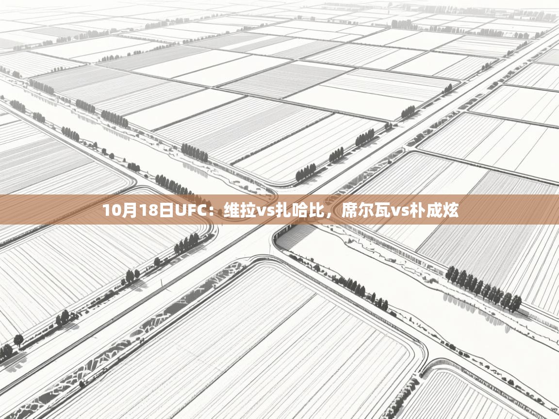 开云体育入口-10月18日UFC：维拉vs扎哈比，席尔瓦vs朴成炫  第1张