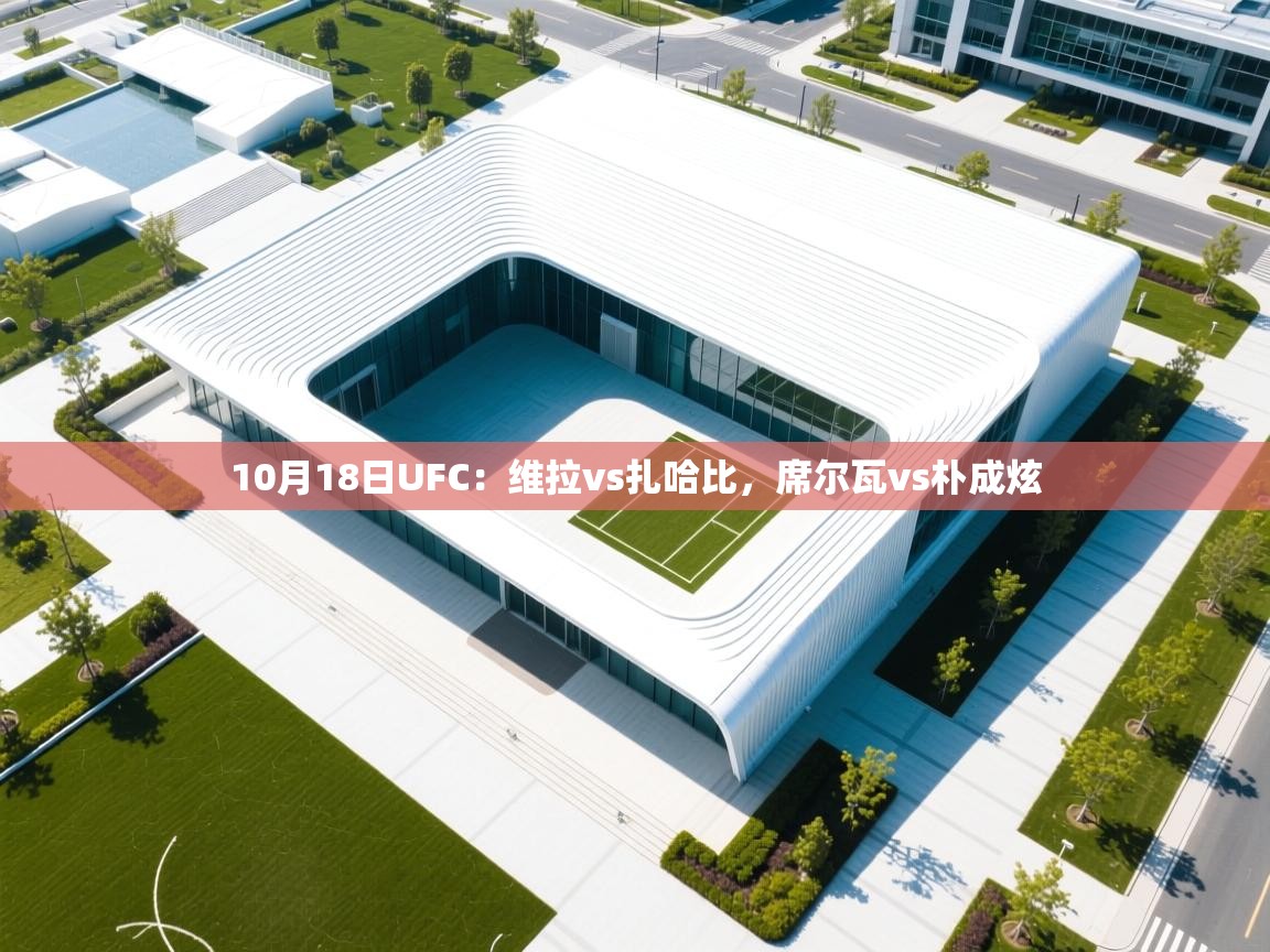 开云体育入口-10月18日UFC：维拉vs扎哈比，席尔瓦vs朴成炫  第4张